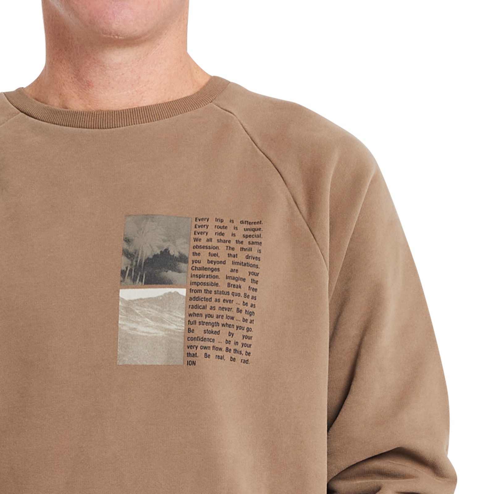 ION Surfing Elements Herren-Sweatshirt in tan beige mit Brust-Grafik und Rundhalsausschnitt