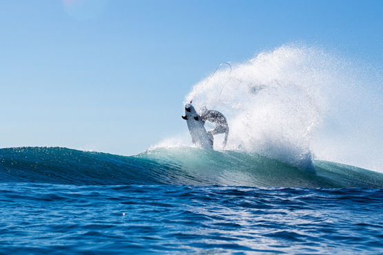 ION_Water_Element-4/3-Back-Zip_Action-Shots_2