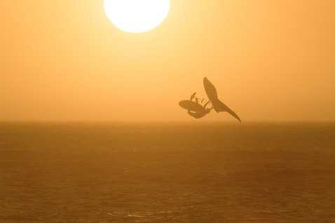 ION Element 3/2mm Backzip Fullsuit beim Kitesurfen bei Sonnenuntergang über dem Meer
