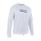 Wetshirt LS men - 100 peak-white