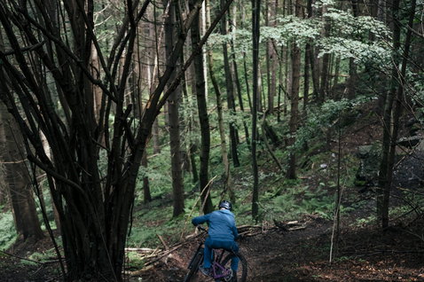 Veste softshell de vélo ION Shelter 2L en bleu lors d'une sortie VTT en forêt