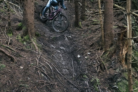 ION Shelter 2L Softshell-Hose Herren in dunkelgrau beim Mountainbiken im Wald