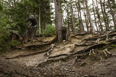 Gilet bici ION Shelter Primaloft Hybrid uomo in verde oliva scuro durante mountain biking in foresta