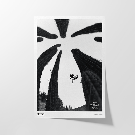 ION_Bike_No-Straight-lines-Fine-Print_Product-Pictures_1