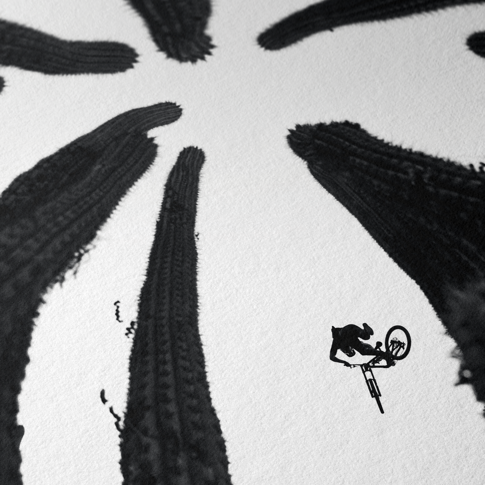 ION Bike No Straight Lines fine art print A4 in black and white with mountain biking motif