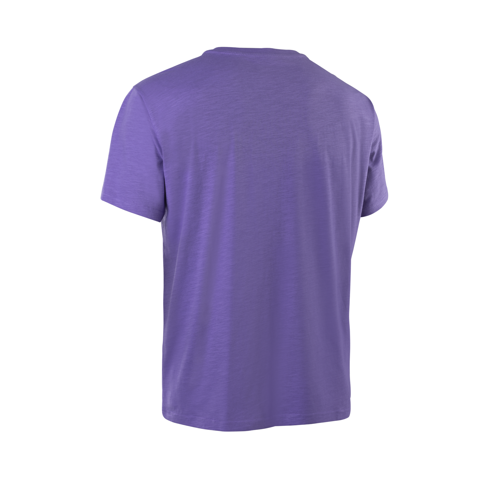 ION Addicted SS men t-shirt in purple — back view