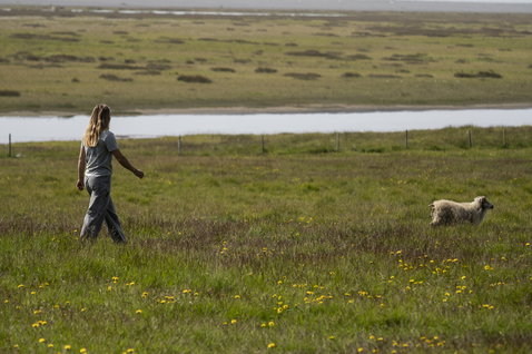 ION Tee Graphic SS women's t-shirt in light grey during a walk in a coastal meadow